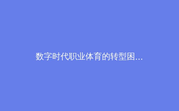 数字时代职业体育的转型困境：从传统竞技到流量经济的价值重构 - 2